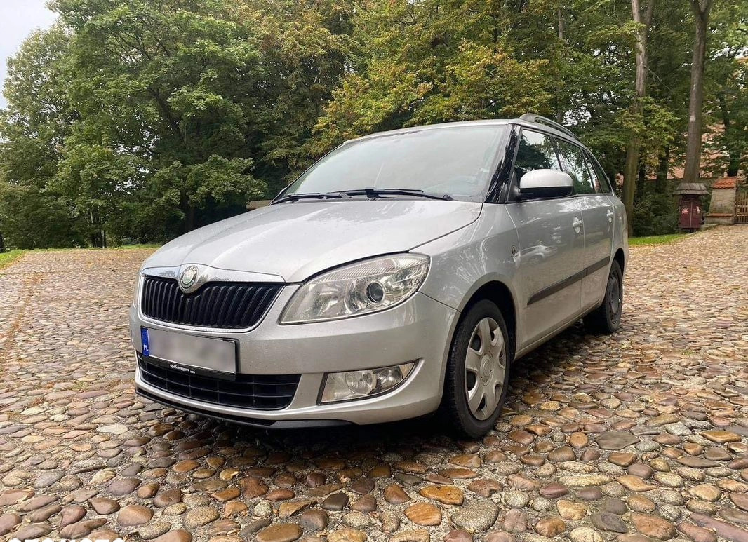 Skoda Fabia cena 11000 przebieg: 203000, rok produkcji 2011 z Biała małe 56